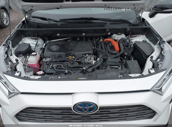 2T3EWRFV6LW051501 2020 TOYOTA RAV4 HYBRID Белый Вид сзади
