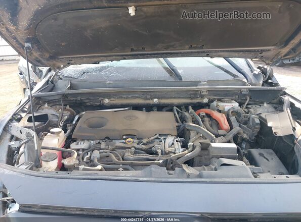 2T3EWRFVXLW062873 2020 TOYOTA RAV4 HYBRID Gray Հետևի տեսք