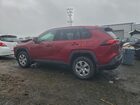 2025 Toyota Rav4 Le Красный vin: 2T3G1RFV8SW597173