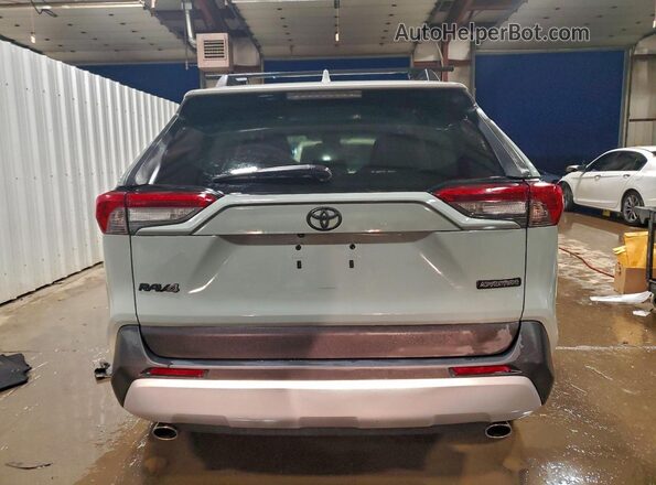 2T3J1RFV5KC029261 2019 TOYOTA RAV4 Gray Widok z tyłu
