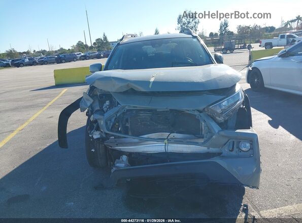 2T3J1RFV9MW156306 2021 TOYOTA RAV4 Серый Вид спереди
