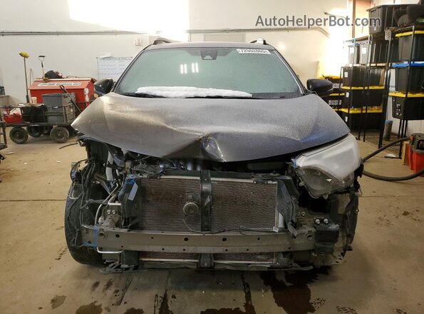 2T3JFREV2HW680292 2017 TOYOTA RAV4 Gray Widok z przodu