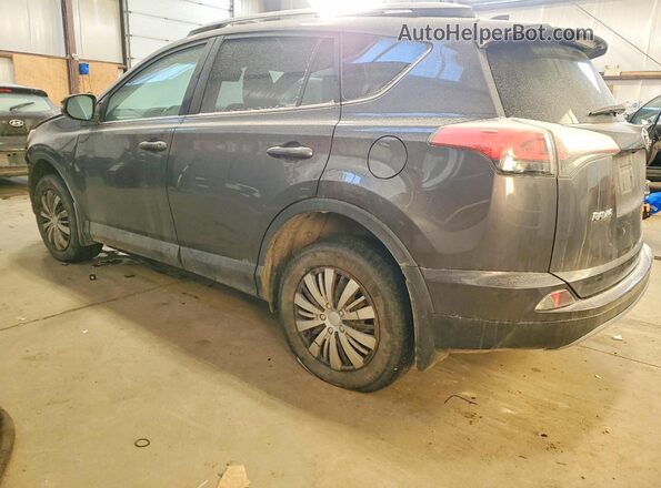 2T3JFREV2HW680292 2017 TOYOTA RAV4 Gray Tył lewy