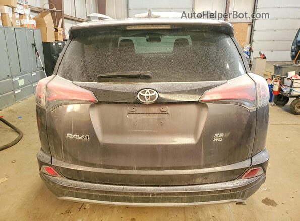 2T3JFREV2HW680292 2017 TOYOTA RAV4 Gray Widok z tyłu