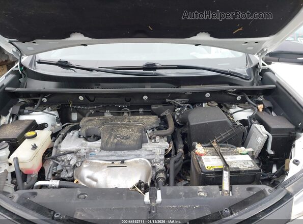 2T3JFREV5GW537612 2016 TOYOTA RAV4 White უკანა ხედი