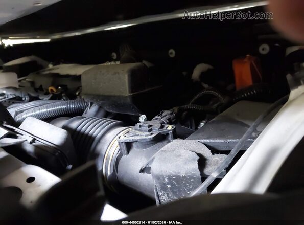 2T3T6RFV9RW068714 2024 TOYOTA RAV4 HYBRID White Widok z tyłu