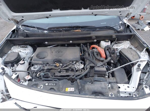 2T3UWRFV1PW163995 2023 TOYOTA RAV4 HYBRID Белый Вид сзади