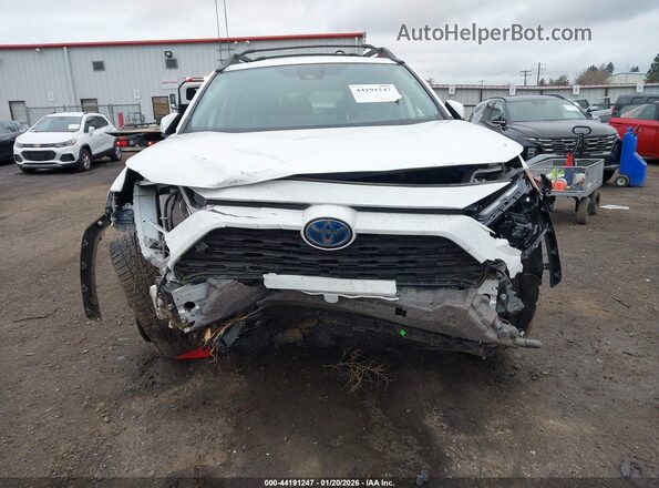 2T3UWRFV1PW163995 2023 TOYOTA RAV4 HYBRID Белый Вид задней части салона