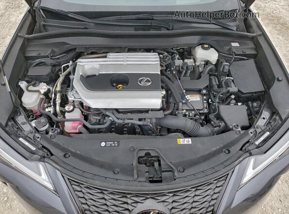 JTHR9JBH0P2067264 2023 LEXUS UX Угольный Вид наклейки с VIN-кодом