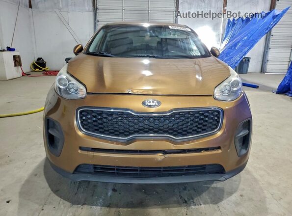 KNDPM3AC5H7034645 2017 KIA SPORTAGE Коричневый Вид сзади