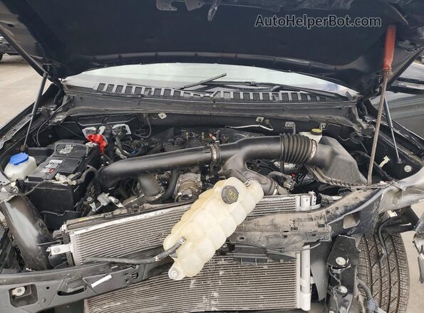5LMJJ3LGXPEL02008 2023 LINCOLN NAVIGATOR Угольный Вид наклейки с VIN-кодом
