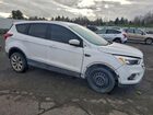2019 Ford Escape Se White vin: 1FMCU0GD7KUB07399