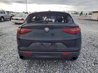 2019 Alfa Romeo Stelvio Black vin: ZASPAJANXK7C71340
