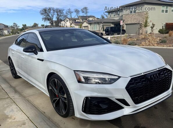 WAUC4CF55SA008255 2025 AUDI S5 Белый Задняя левая четверть