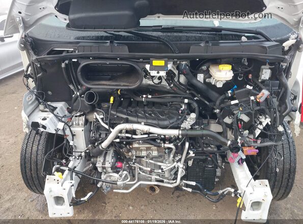 3C6LRVDG0SE555149 2025 RAM PROMASTER 2500 Белый Вид сзади