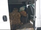 2020 Ram Promaster 1500 Low Roof 136 Wb Белый vin: 3C6TRVAG9LE105487