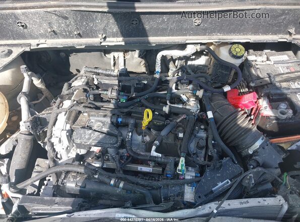 3FMCR9B68RRF15653 2024 FORD BRONCO SPORT Желто-коричневый Вид сзади