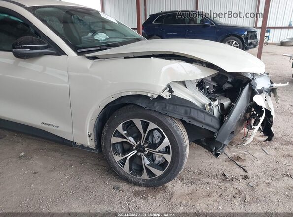 3FMTK1R45SMA55770 2025 FORD MUSTANG MACH-E Кремовый Вид спереди