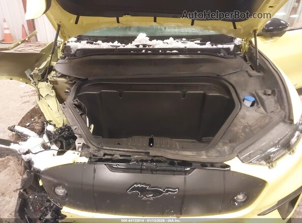 3FMTK4SX5RMA17813 2024 FORD MUSTANG MACH-E Yellow Widok z tyłu