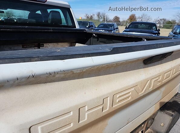 3GCUYAEF5LG347112 2020 CHEVROLET SILVERADO  Սալոնի հետևի տեսք