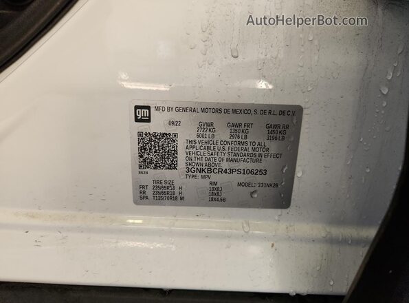 3GNKBCR43PS106253 2023 CHEVROLET BLAZER Белый Панорамный вид салона 360°