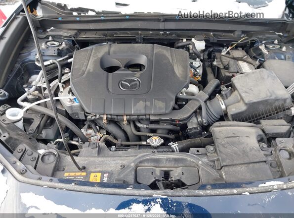 3MVDMBAM1PM542295 2023 MAZDA CX-30 Синий Вид сзади