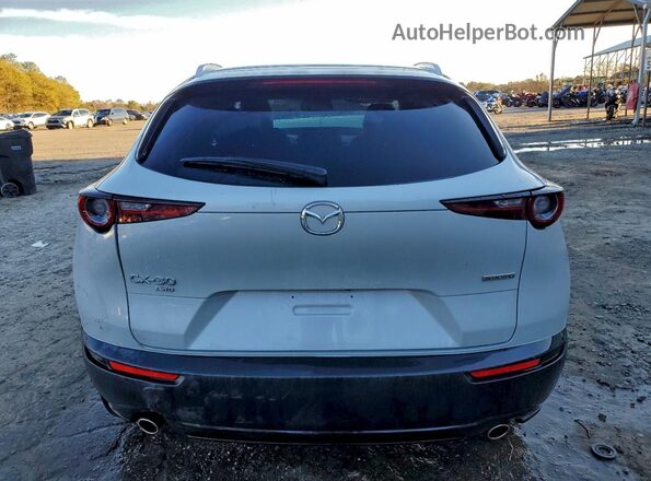 3MVDMBBM0SM820904 2025 MAZDA CX-30 Silver Rear view
