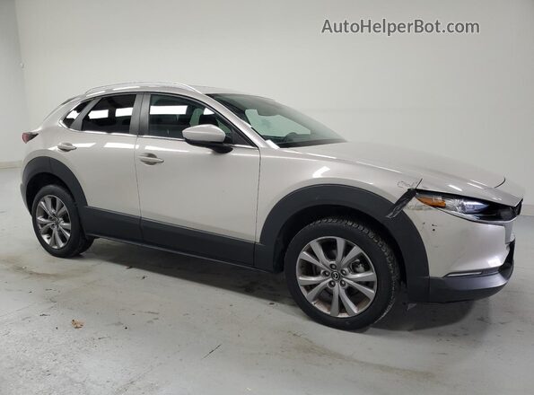 3MVDMBCL9NM412492 2022 MAZDA CX-30 Желто-коричневый Панорамный вид салона 360°
