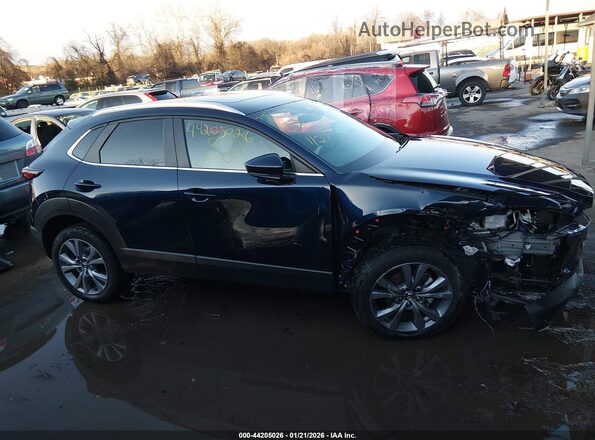 3MVDMBCM7SM818677 2025 MAZDA CX-30 Синий Панорамный вид салона 360°