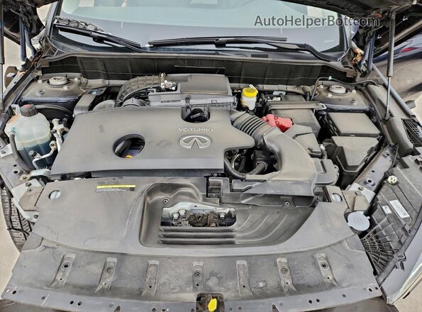 3PCAJ5AB2SF105349 2025 INFINITI QX50 Синий Вид задней части салона