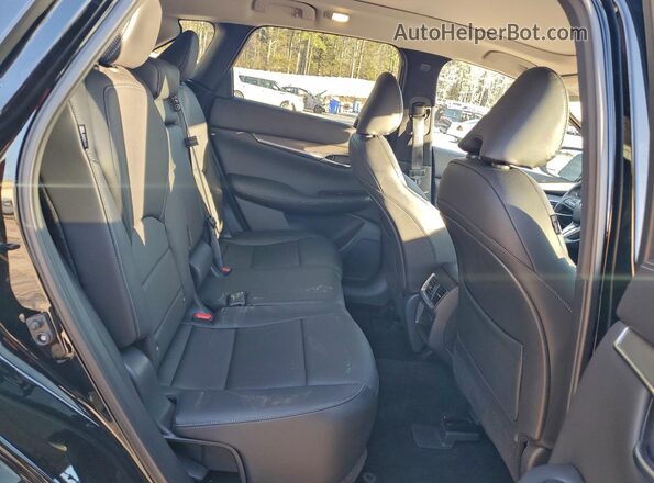 3PCAJ5BA2PF123105 2023 INFINITI QX50 Черный Вид задних сидений