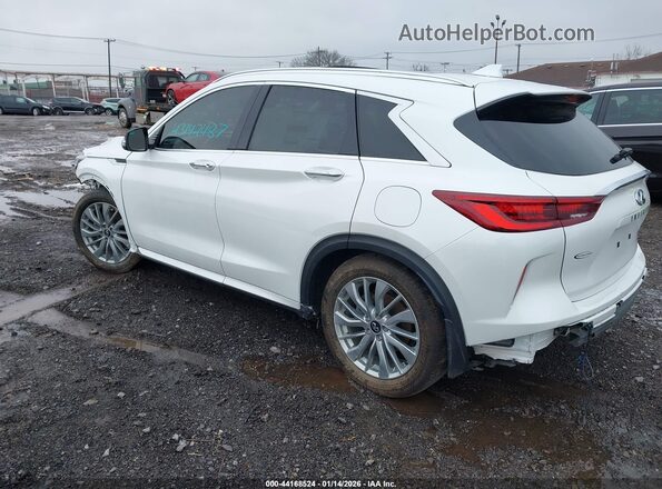 3PCAJ5BA6PF115234 2023 INFINITI QX50 White Tył lewy