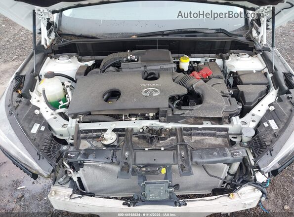 3PCAJ5BA6PF115234 2023 INFINITI QX50 White Widok z tyłu