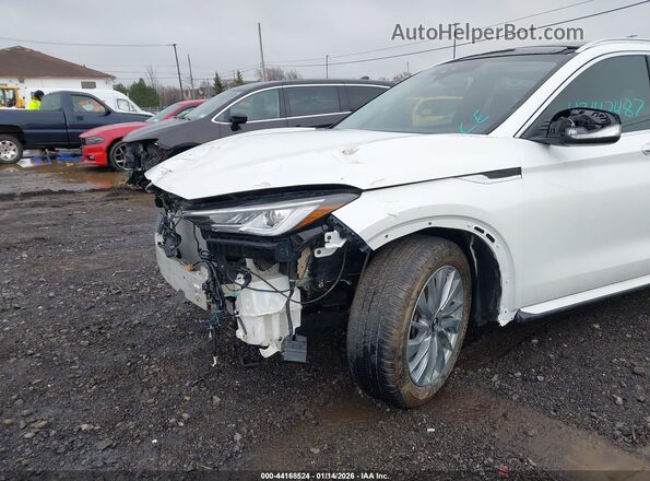 3PCAJ5BA6PF115234 2023 INFINITI QX50 White Widok z przodu