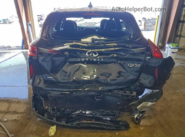 3PCAJ5BB5PF123317 2023 INFINITI QX50 Черный Вид сзади