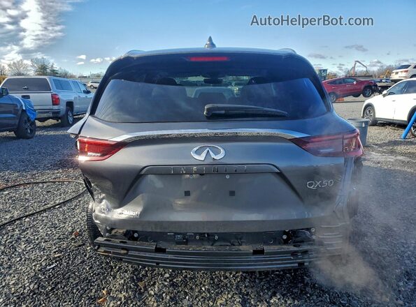 3PCAJ5BBXSF102469 2025 INFINITI QX50 Gray Вид ззаду