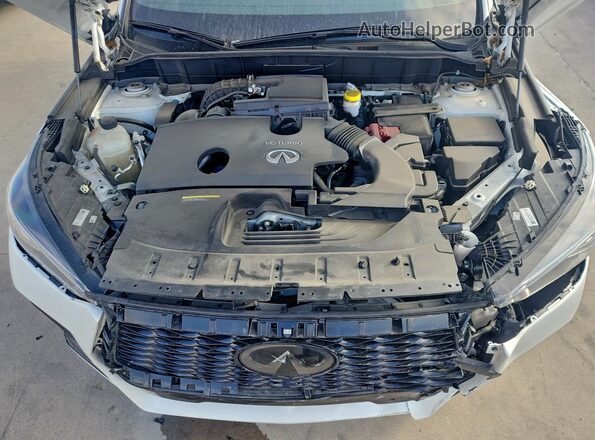 3PCAJ5FB0PF108282 2023 INFINITI QX50 White Widok wnętrza z tyłu
