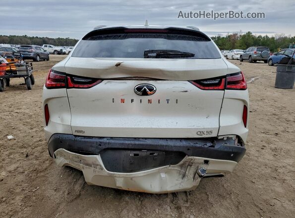 3PCAJ5JR6PF105228 2023 INFINITI QX55 Белый Вид сзади