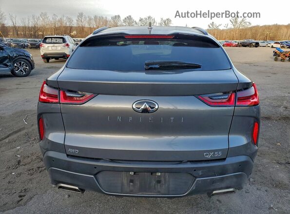 3PCAJ5JR6PF106718 2023 INFINITI QX55 Gray Вид ззаду