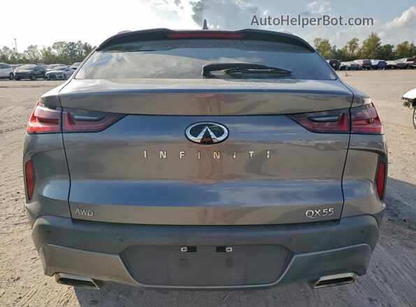 3PCAJ5JR9PF123013 2023 INFINITI QX55 Серый Вид сзади