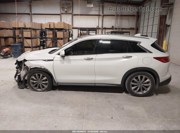 3PCAJ5M14KF145192 2019 INFINITI QX50 Белый Вид задней части салона