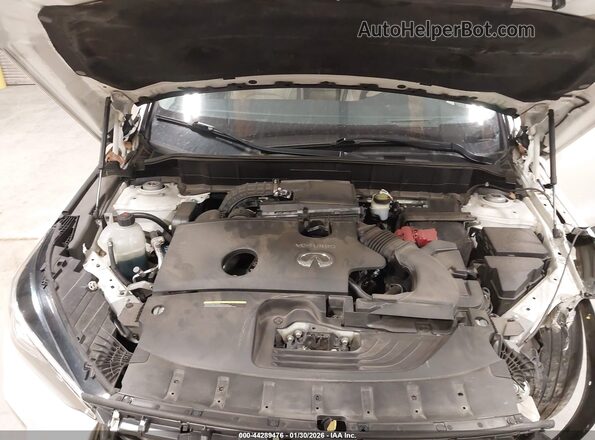 3PCAJ5M14KF145192 2019 INFINITI QX50 Белый Вид сзади