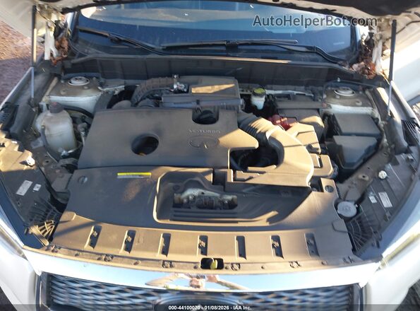 3PCAJ5M39KF117793 2019 INFINITI QX50 Белый Вид сзади