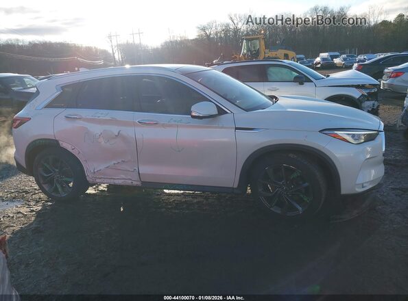 3PCAJ5M39KF117793 2019 INFINITI QX50 Белый Вид задней части салона