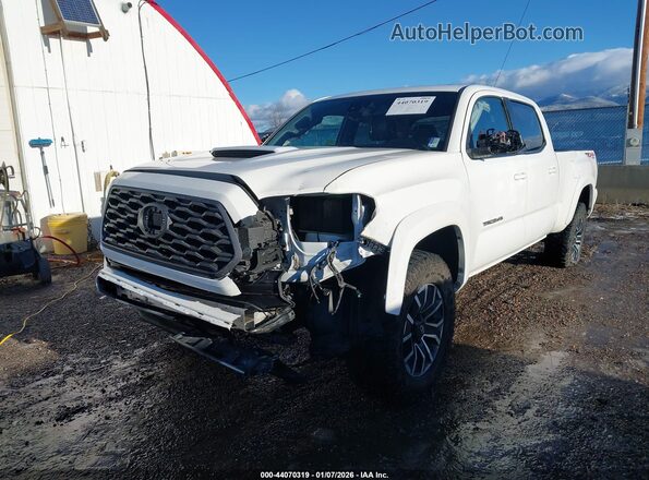 3TMDZ5BN5LM096366 2020 TOYOTA TACOMA 4WD Белый Вид спереди
