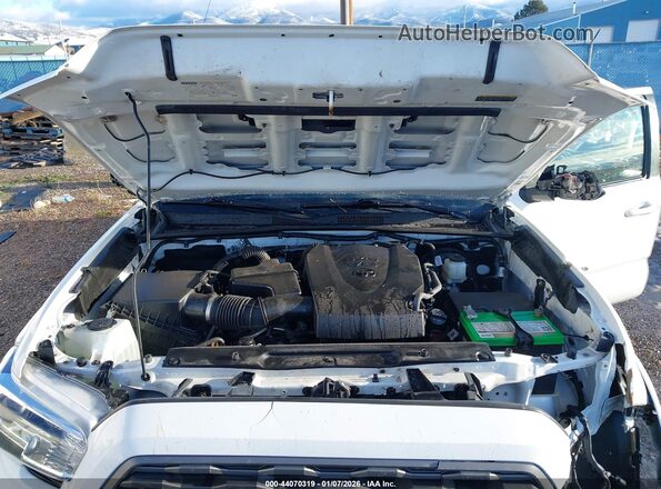 3TMDZ5BN5LM096366 2020 TOYOTA TACOMA 4WD Белый Вид сзади