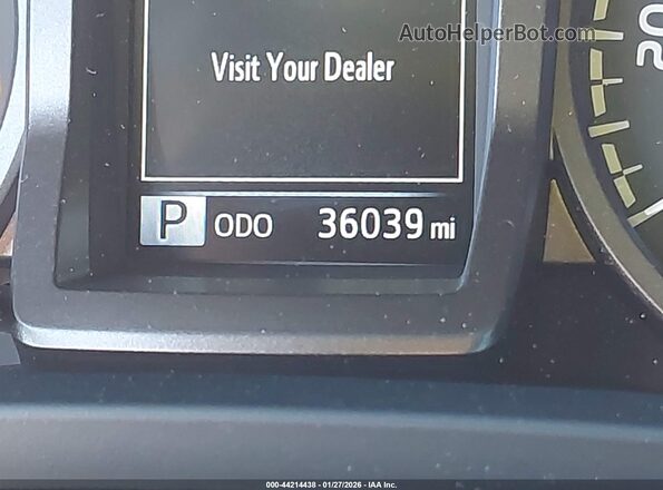 3TMDZ5BN9PM159698 2023 TOYOTA TACOMA Зеленый 