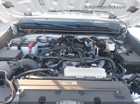 3TMKB5FN7SM036951 2025 TOYOTA TACOMA White Widok z tyłu