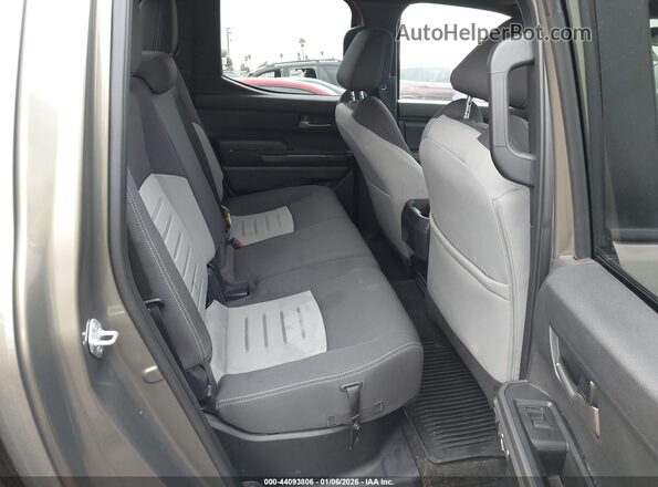 3TMLB5JN1SM160239 2025 TOYOTA TACOMA Champagne Vista de la etiqueta del VIN