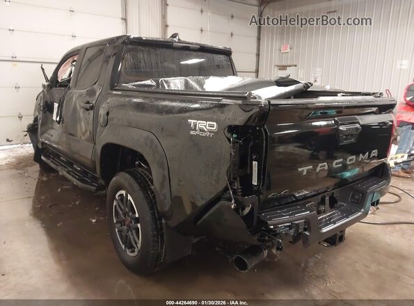 3TMLB5JN5RM034184 2024 TOYOTA TACOMA Black Tył lewy